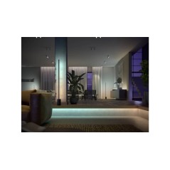 Philips Hue White and Colour Ambiance Gradient Light Strip 20W 2200-6500K - Transform Your Space with Vibrant Colors and Smart L
